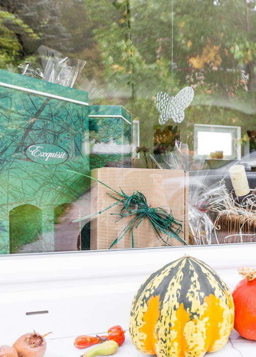 Geschäft Einblick 7